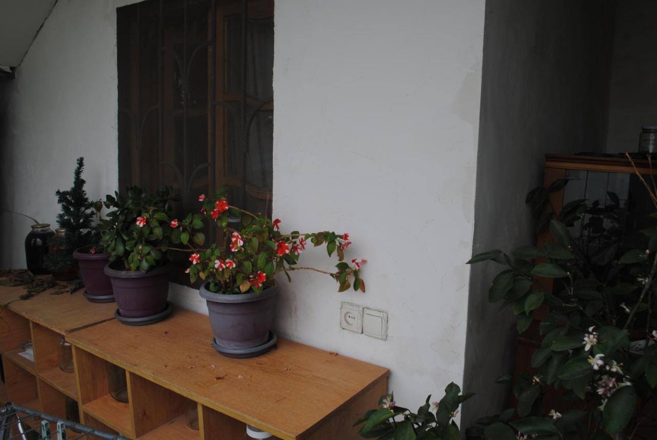 Family Guesthouse - Macharashvili Tbilissi Extérieur photo